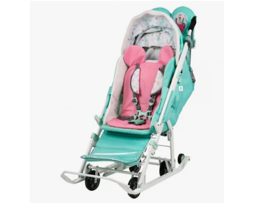 Санки-коляска Disney baby-2 DB2/2